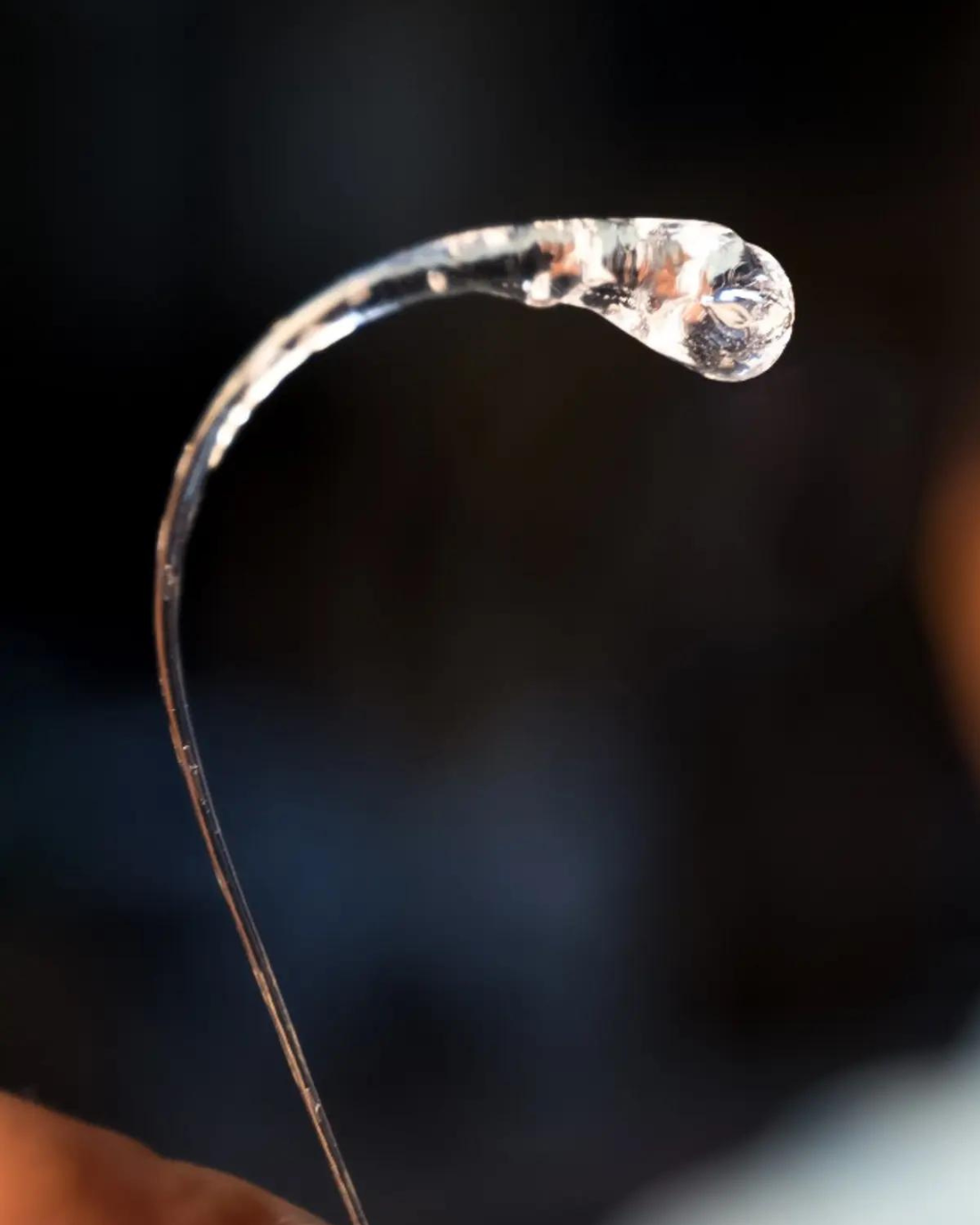 A Prince Rupert’s Drop photographed against a dark background, emphasizing its glossy surface and clear glass structure.