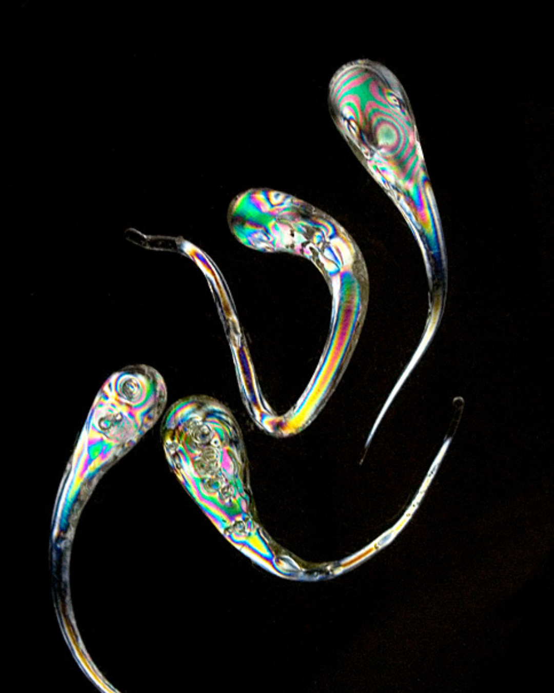 A collection of handcrafted Prince Rupert’s Drops arranged elegantly on a wooden surface, highlighting their unique shapes.