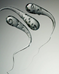 Prince Rupert's Drops - Buy Now! – Prince Rupert's Drop, by John