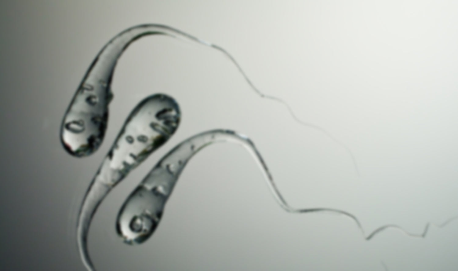 Prince Rupert's Drops by John Prince Rupert's Drop, by John